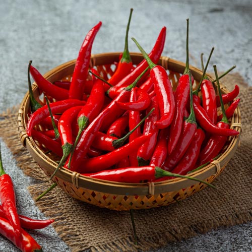 Chilli Flavours