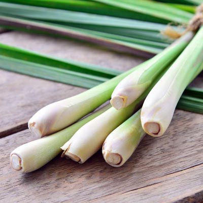 Lemongrass Flavour for Tea